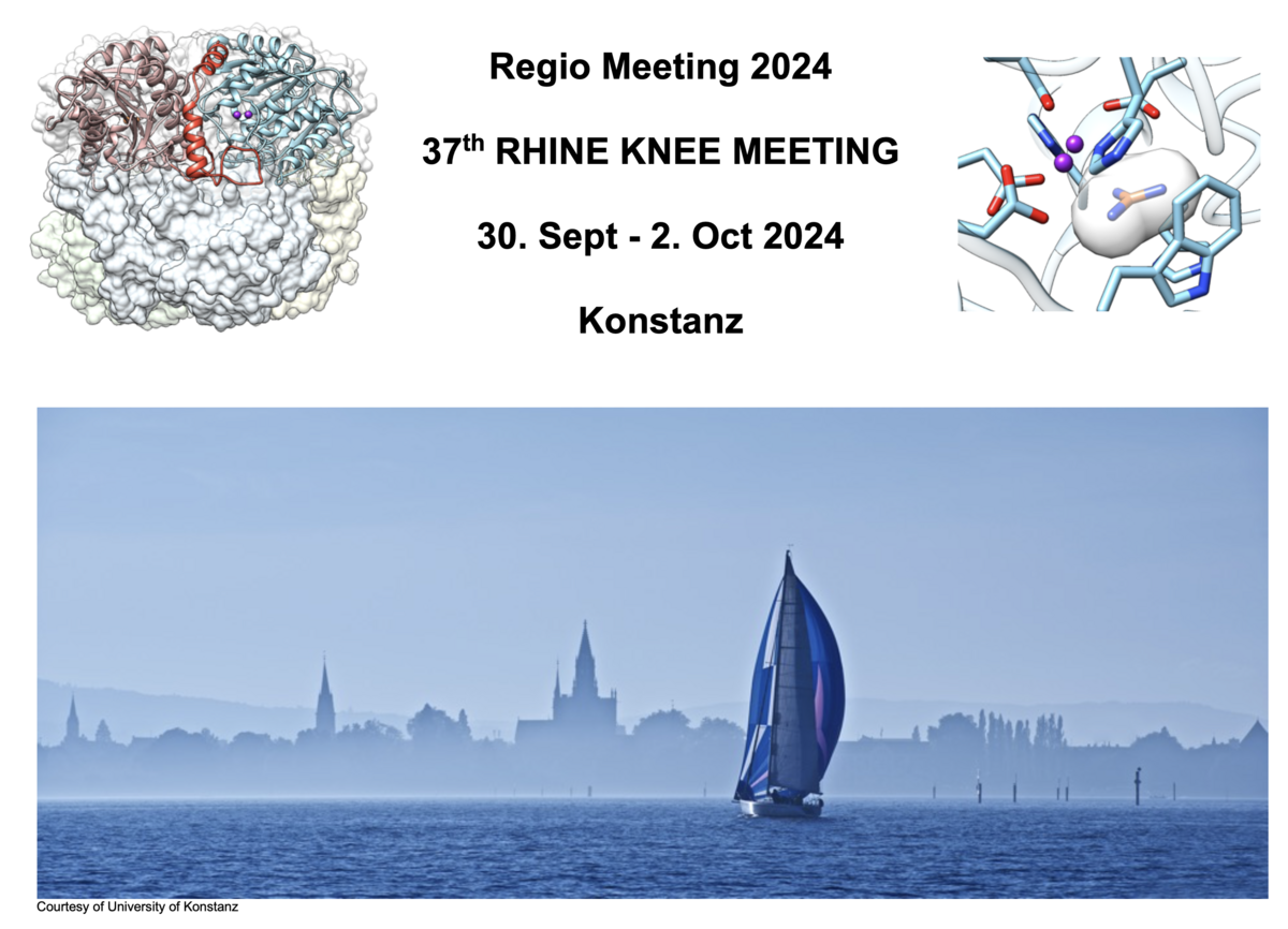 Regio Meeting 2024 in Konstanz